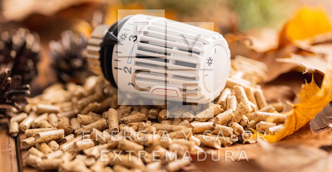 Instalación de biomasa en tu hogar: 10 razones para elegir este tipo de energía. - feat blog 009