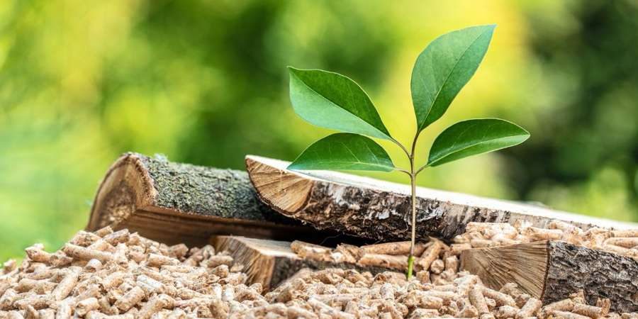 ¿Qué es la biomasa? Ventajas y Tipos - feat que es la biomasa